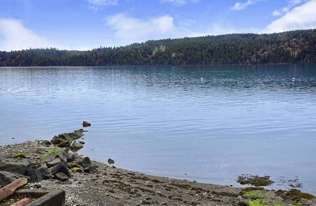 Charming little red beach house