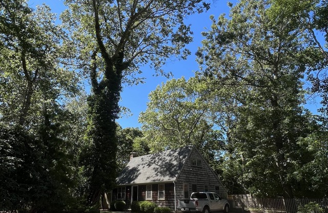 Charming & Rustic Artists Mid Century Modern Hamptons Escape