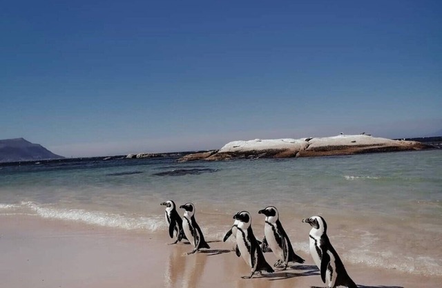 Chartfield Guesthouse