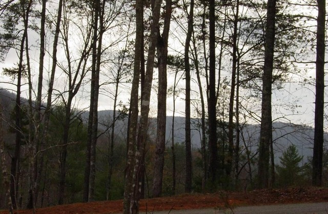 Cherokee Dream Mountain Lodge