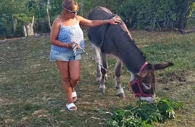 CHEZ NIKI, escape to an oasis of nature in the heart of the Margeride!