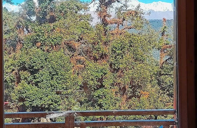 Chopta Resort