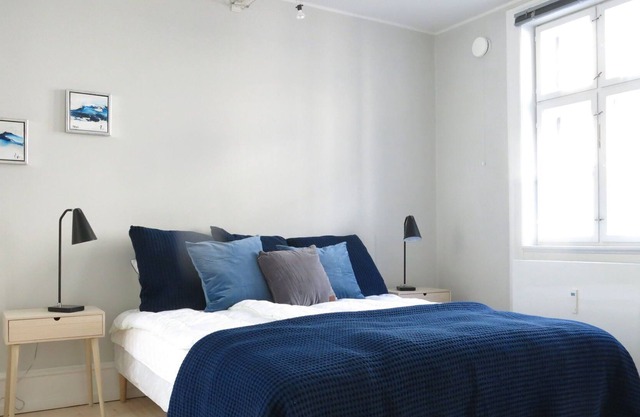 City Apartment in Copenhagen with 1 bedrooms sleeps 2