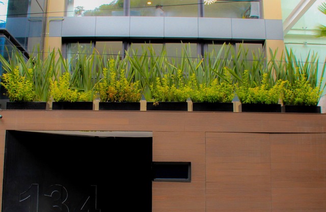 Ciudad de México Polanco