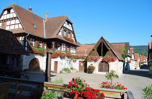 Cléebourg vineyard