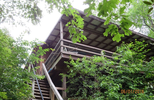 Clearwater Cabin On the South Toe River