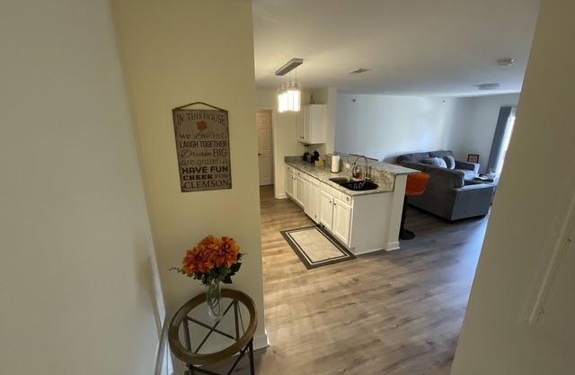 Clemson weekend rental on Harts lake.