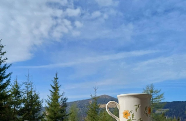 Cosy alpine hut directly in the ski area