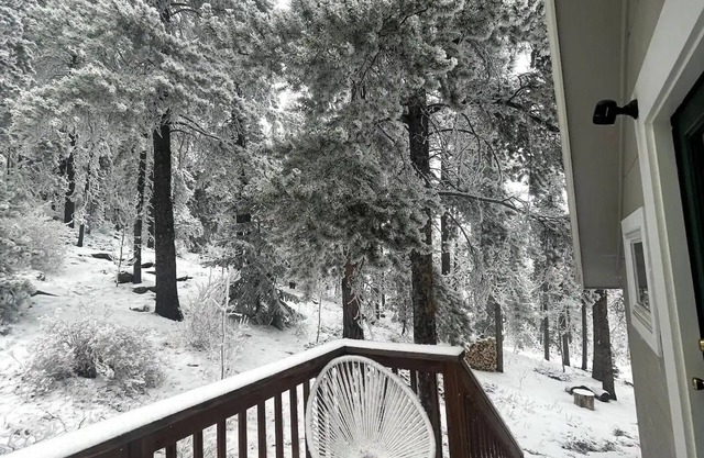 Coal Creek Cabin, a Serene Retreat in Golden, CO!nn