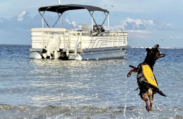 Coastal Escape Awaits: Enjoy a Complimentary Pontoon Boat Adventure!