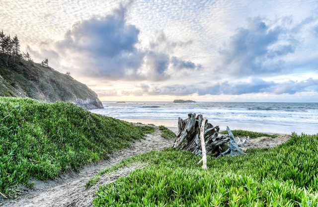 Coastal retreat in a rural setting w/marvelous views, Ping-Pong table, & firepit