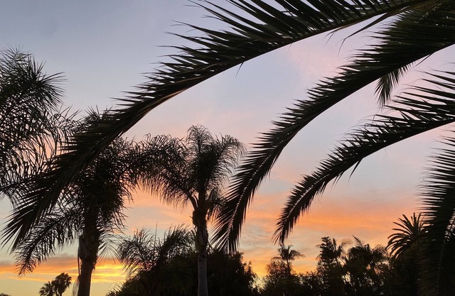 Coastal Studio Retreat! WALK to BEACH! GREAT LOCATION!Tamarack Surf! 1mn DRV!