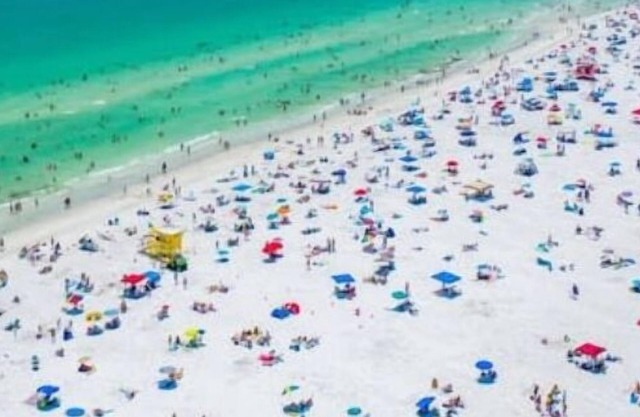 Cocohut in Sarasota Siesta Key