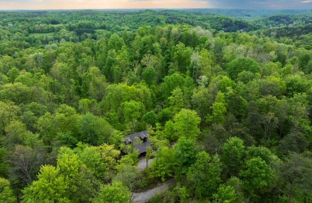 Cohosh - Hand hewn private log cabin with views