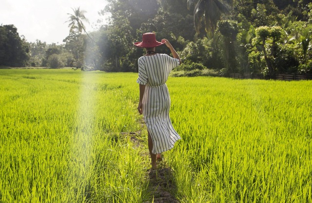 Colonial Villa With Pool & Surrounded by Lush Nature