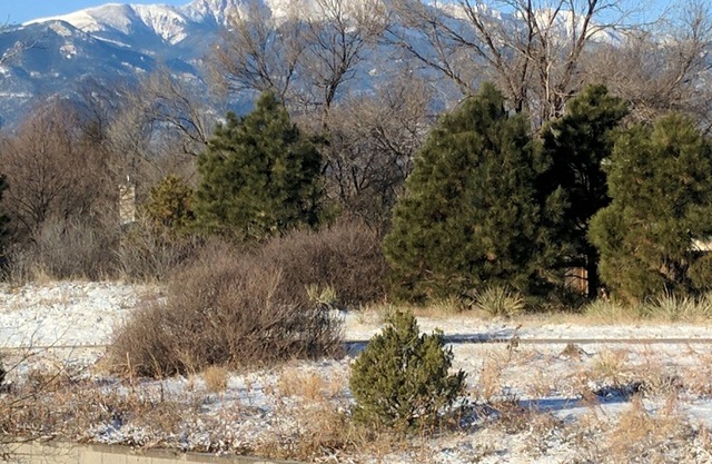 Colorado Springs Getaway near AFA, hiking, shopping and walking trailnSTR-1308