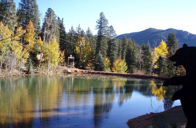 Colorado Springs Mountain Ranch cabin for a vacation in the Pike National Forest