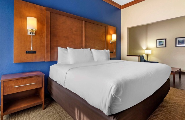 Comfort Inn & Suites Statesboro - University Area