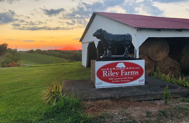 Comfort & Rest @Riley Farms, ❤ of the Bluegrass- 12 mins from Ark, w/Hot Tub