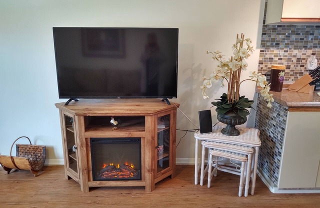 COMFORTABLE FAMILY STYLE/LARGE PROPERTY/PET FRIENDLY VACATION HOME!
