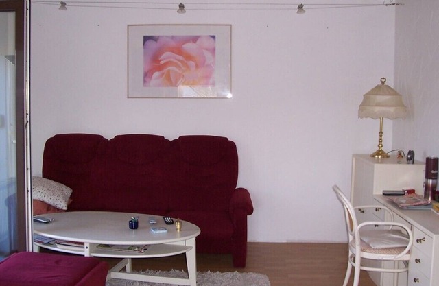 Comfortable family apartment