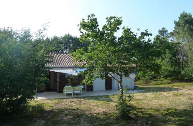Comfortable house, in lush greenery, 5 minutes from ocean beaches