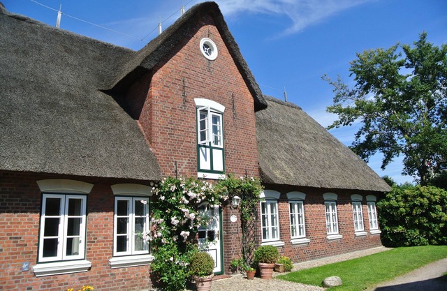 Comfortable Frisian house under thatch with large garden