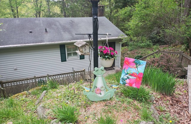 Comfy mountain cabin