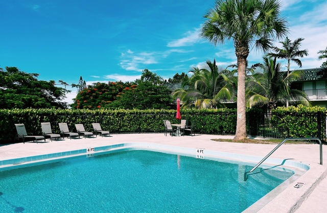 Comfy & Spacious 1 BR APT w/Pool near downtown