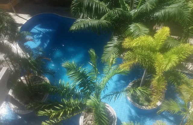 Condo Del Cielo