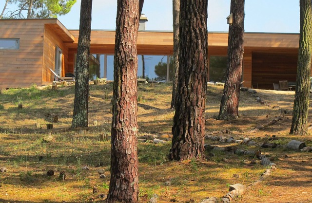 Contemporary house with spectacular view of the forest