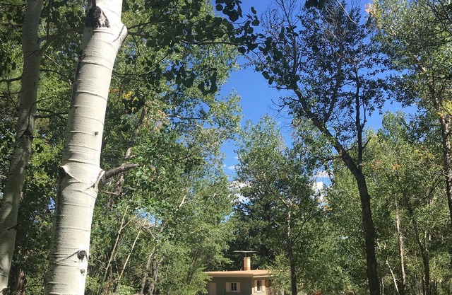 Converted Milking Barn with Views and Access to Sangre de Cristo Peaks