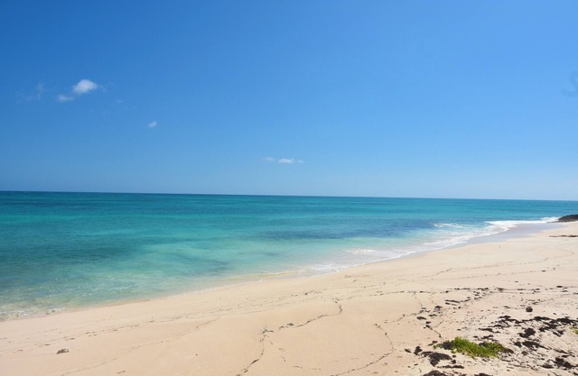 Cookie On The Rocks - Private Beachfront Retreat at Elbow Cay's North End