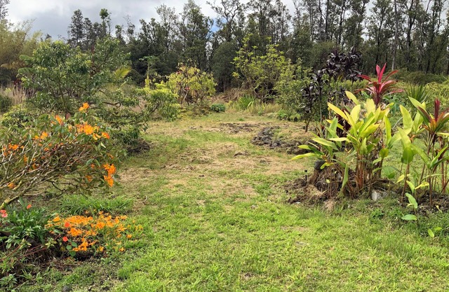 Cool 2-bedroom apartment with WiFi in Mountain View