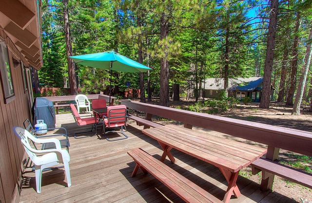 Cool Cabin Near Hiking Trails, Great Neighborhood, Pet Friendly (COH0885)