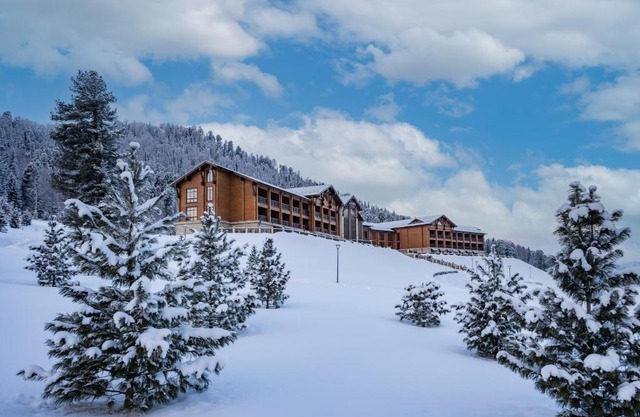 Cosmos Collection Altay Resort