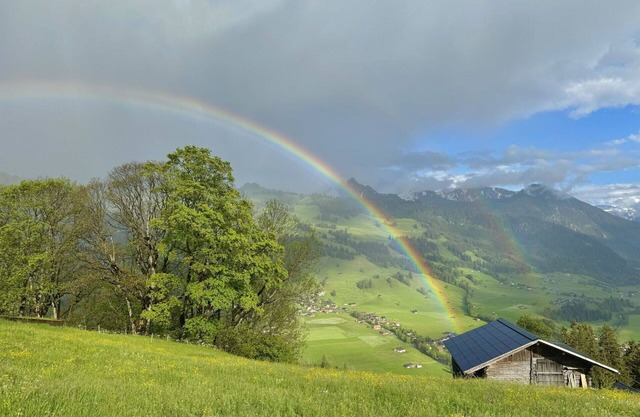 Cosy apartment for 3 people with WIFI, balcony and pets allowed