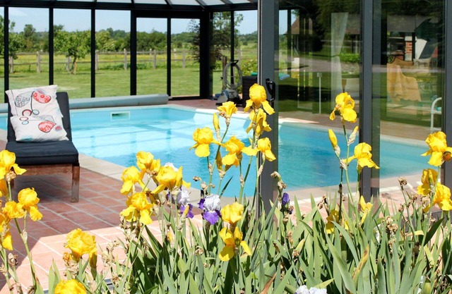 Cosy apartment in villa for 3 people with WIFI, pool, TV, patio and pets allowed