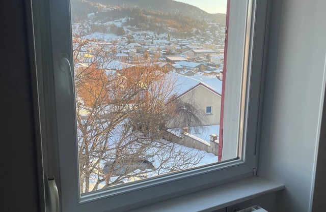 Cosy apartment near Gerardmer town center
