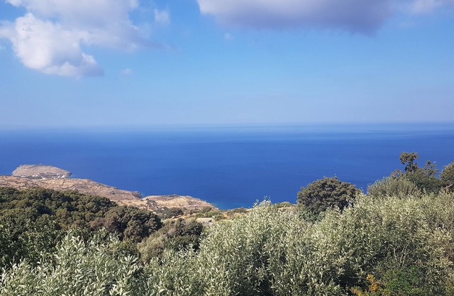 Cosy studio with stanning sea view