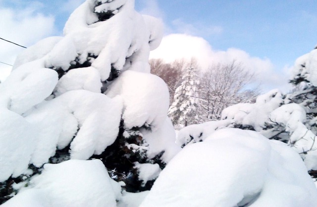 Cottage at the end of the world in the Hautes Vosges