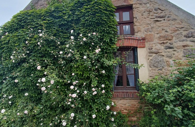 Cottage in Burgundy - quiet yet central