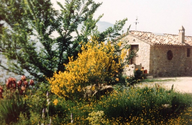 Cottage in Paradise