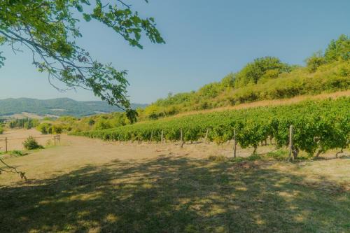 Cottage Marcel - La Souche Fleurie