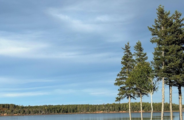 Cottage on the Cardigan River