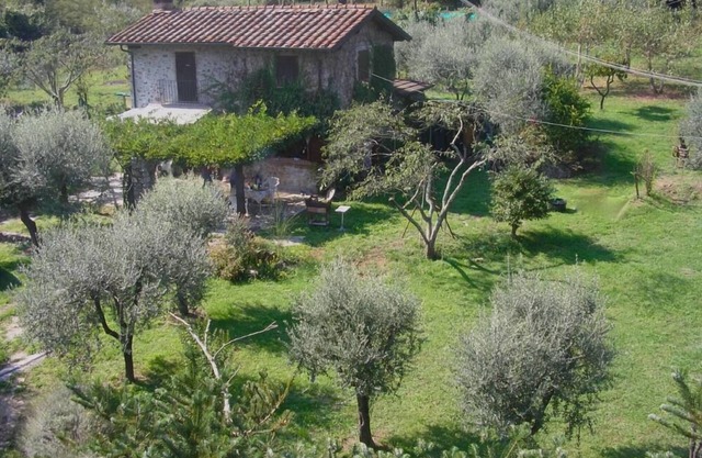 Country Cottage - Camaiore