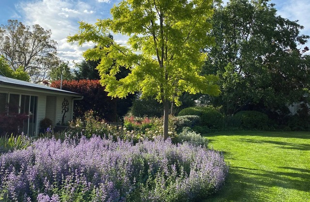 Country Cottage Farm Stay