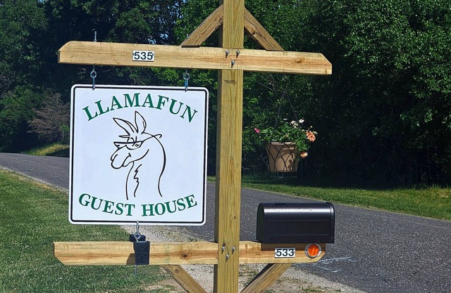 COUNTRY HOME WITH LLAMAS JUST OUTSIDE THE WINDOWS!