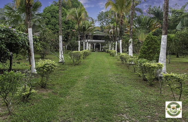 Country house Tierralinda Finca