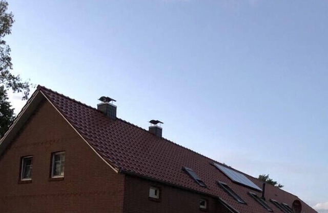 Country house "Alte Welt" North Sea coast vacation apartment on the North Sea